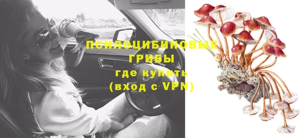 твердый Зеленодольск
