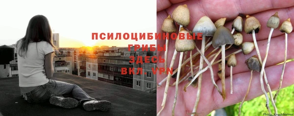 марки lsd Зеленокумск