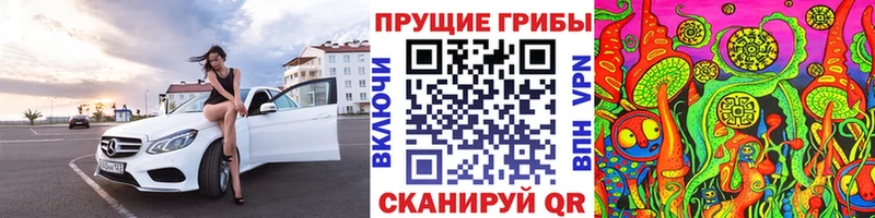 Псилоцибиновые грибы прущие грибы Княгинино